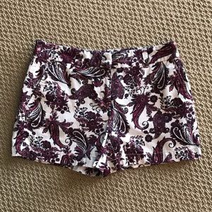 Loft Shorts.  Women’s Size 2. EUC